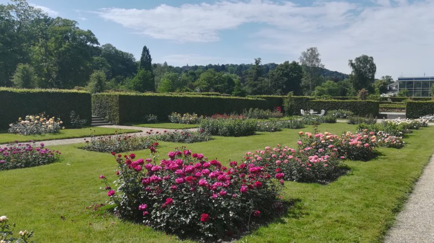 ドイツのバラ園、グナー庭園。ヴェルサイユ宮殿のような贅沢なバラ園はいかが？